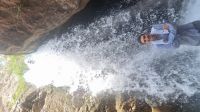 gallery_latest_0